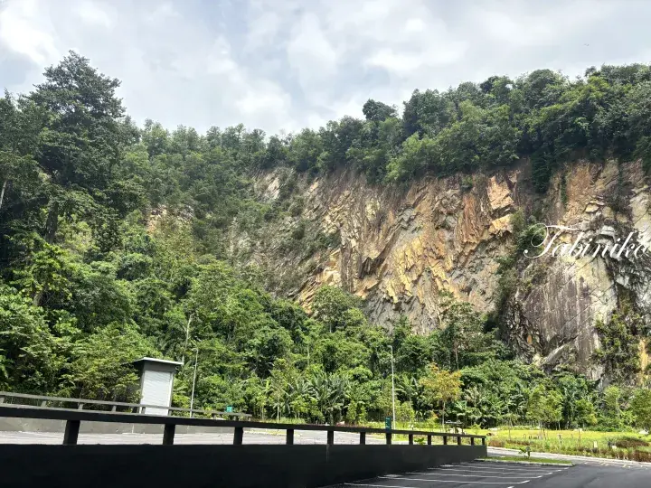 A large rocky cliff face surrounded by lush green forest, viewed from a paved parking area with a guardrail.
