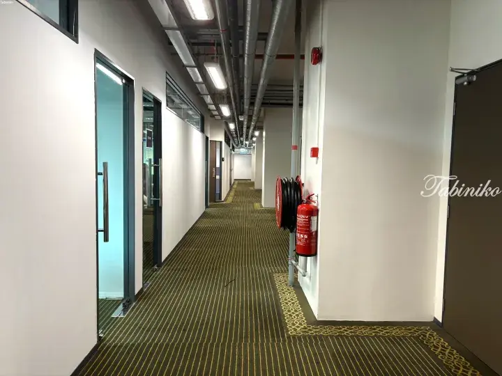 Modern office hallway with striped carpet, glass doors, and exposed ceiling pipes.
