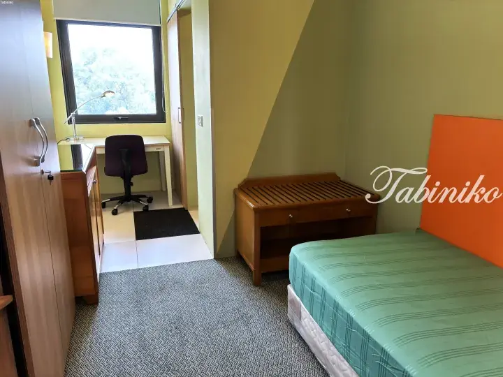 Bright student dormitory room with a green bed, orange headboard, wooden furniture, and a study desk by the window.