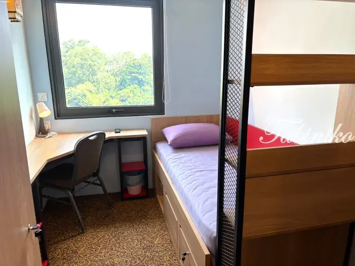 Cozy student dorm room with a single bed, desk, and window view of lush greenery.