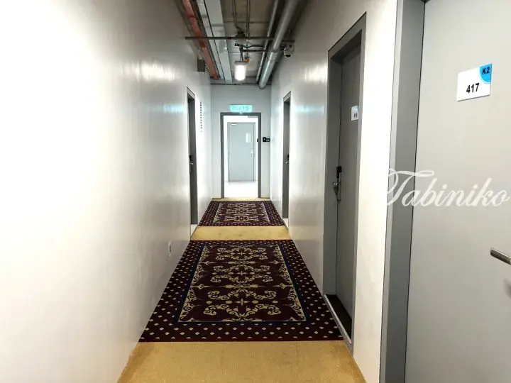 Modern hallway with patterned carpet runner and room number 417 in a Malaysia property.
