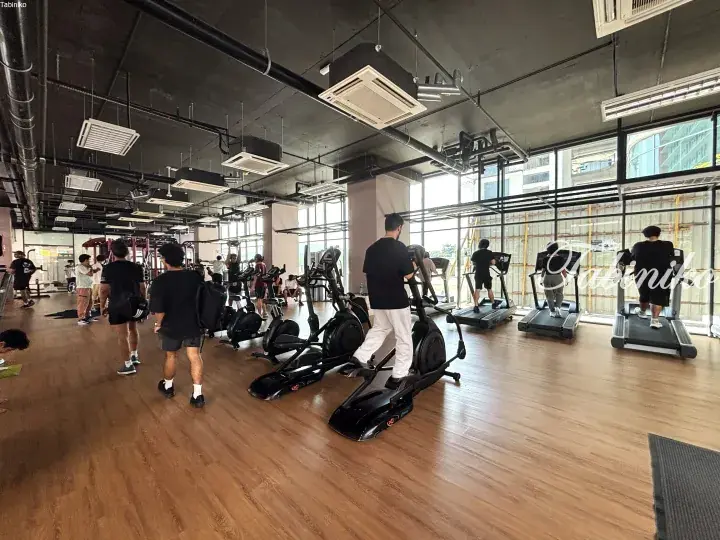 People exercising on elliptical machines and treadmills in a modern gym with wooden floors and large windows.