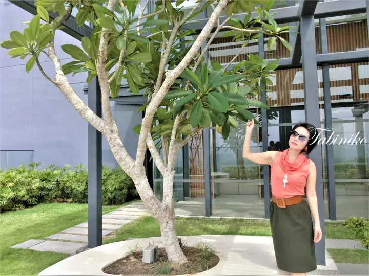 Woman in sunglasses and coral top touching a frangipani tree outside a modern glass building.