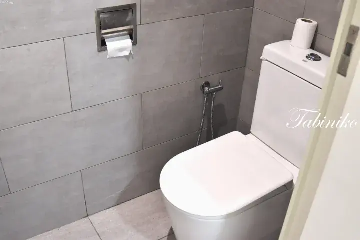 Modern toilet with grey tiled walls, wall-mounted flush plate, and handheld bidet sprayer.