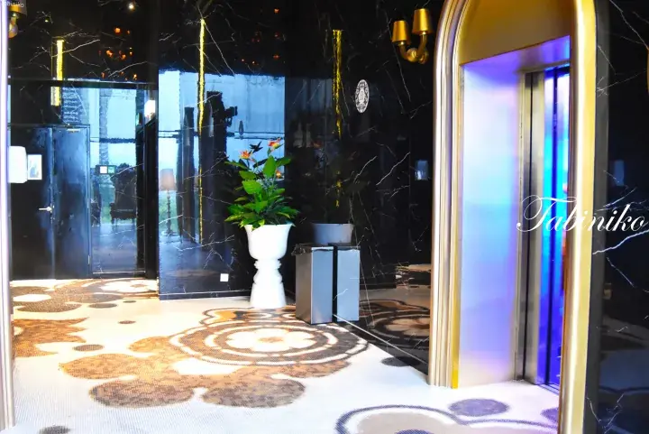 Luxury hotel lobby with black marble walls, patterned carpet, and an elevator with blue lighting.