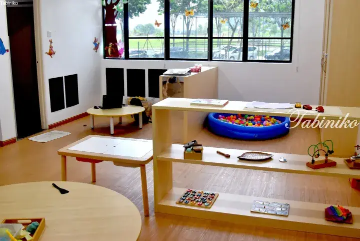 Bright Montessori playroom with wooden shelves, toys, and a ball pit near a large window.