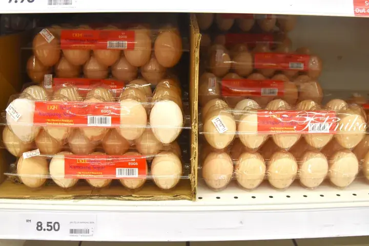 Cartons of fresh eggs displayed on a supermarket shelf with a price tag showing RM 8.50.