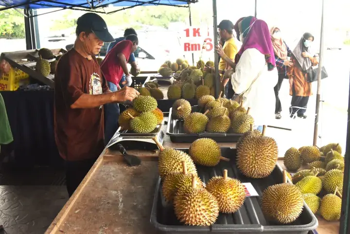 Durian vendor weighing fresh durian at a roadside stall in Malaysia with customers browsing nearby.