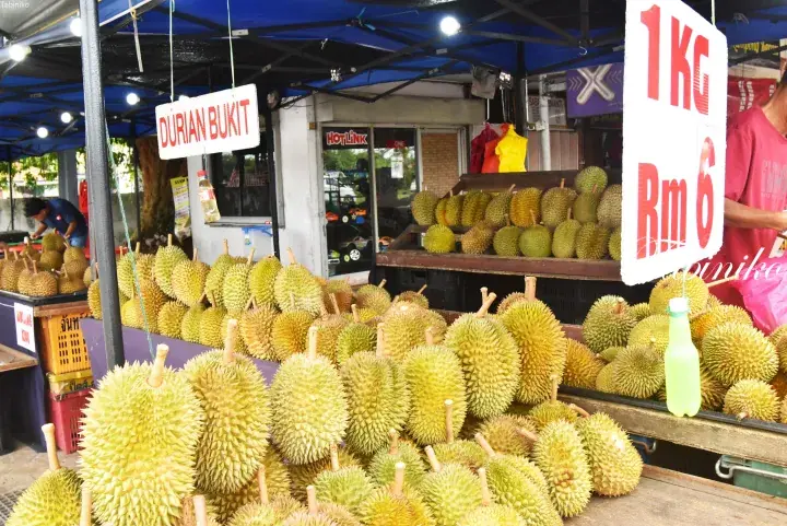 Fresh durian fruits displayed at a roadside stall in Malaysia with a sign showing 1kg for RM6.