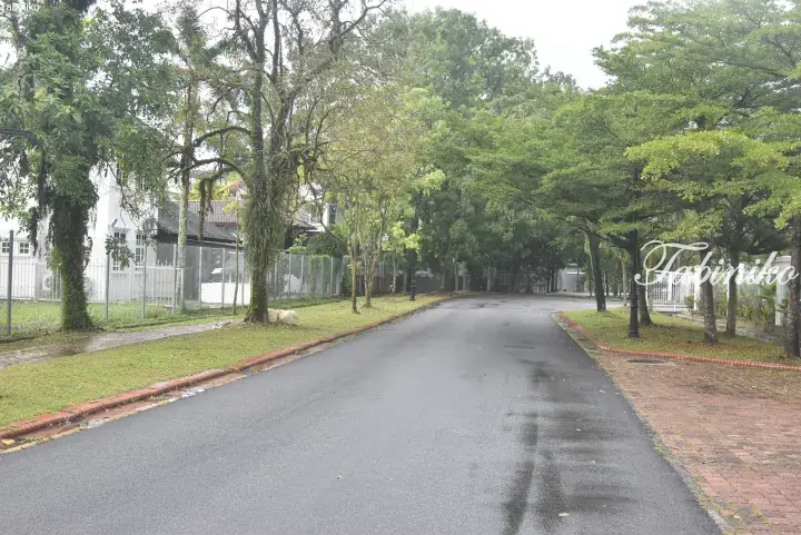 Tree-lined residential street in Malaysia with wet asphalt, green lawns, and white houses behind fences.