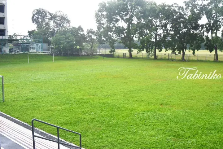 Green football field with goalposts and trees at a property in Malaysia