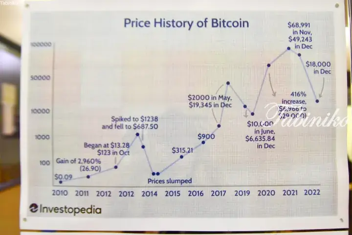 Investopedia chart showing Bitcoin price history from 2010 to 2022, highlighting major peaks and drops.
