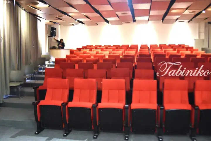 Rows of red auditorium seats with a speaker at the podium in a modern lecture hall.