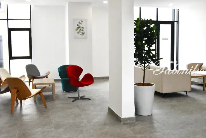 Modern office lounge featuring colorful swivel chairs, wooden seating, and a large potted plant in a bright space.