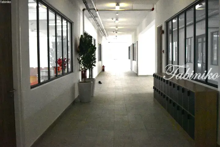 Bright corridor with glass windows, potted plants, and lockers in a modern Malaysian property.