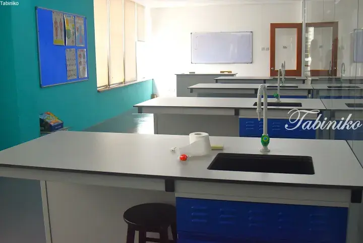 Modern science laboratory with white countertops, blue cabinets, sinks, and anatomical posters on a teal wall.