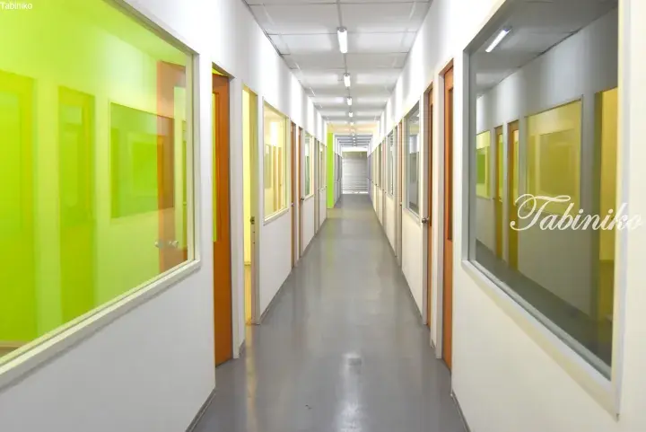 Bright modern hallway with lime green glass panels and wooden doors in a Malaysia property.