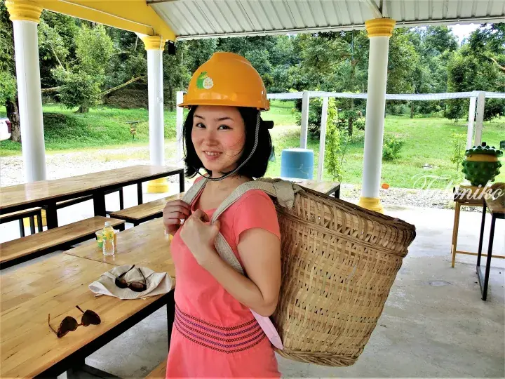 Woman in pink dress and yellow hard hat carrying a large woven basket at a durian farm in Malaysia.