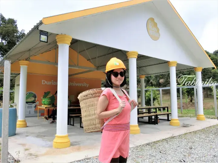 Woman in pink dress and yellow helmet carrying a woven basket at Durian University in Malaysia.