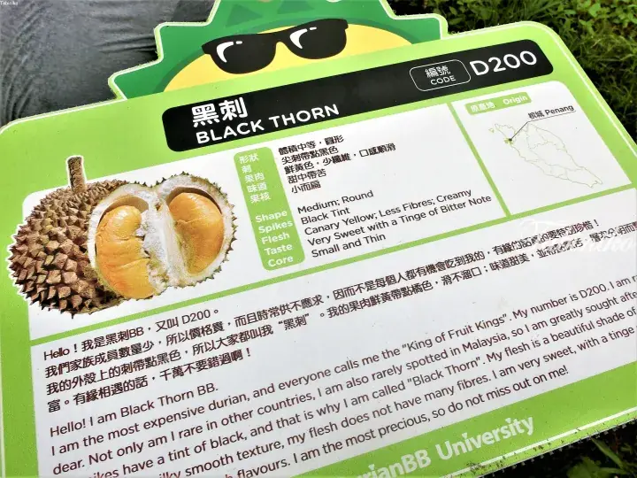 Information sign for Black Thorn (D200) durian at DurianBB University in Penang, Malaysia.