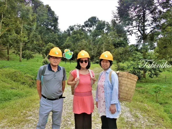 Three visitors wearing yellow safety helmets and carrying woven baskets at a durian farm in Malaysia.