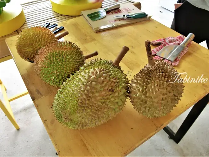 Fresh durians on a wooden table with tools for opening, ready for tasting.