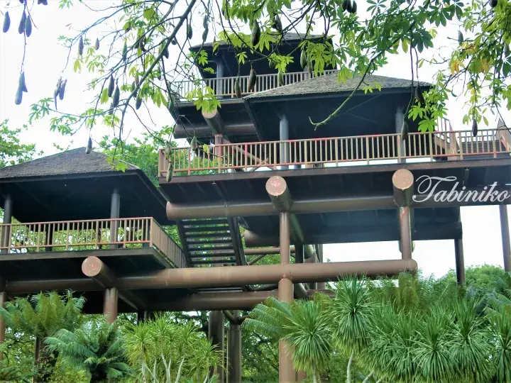 Multi-level wooden observation tower surrounded by lush tropical greenery at Tabin Wildlife Reserve in Sabah.