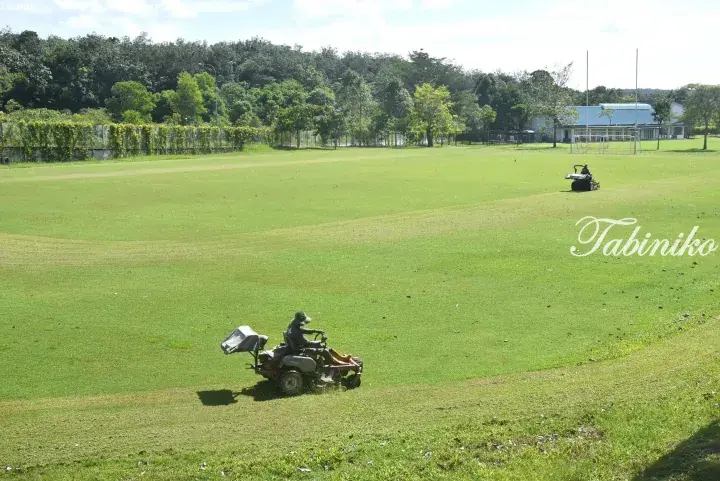 Workers mowing a large green sports field with ride-on mowers under a sunny sky.