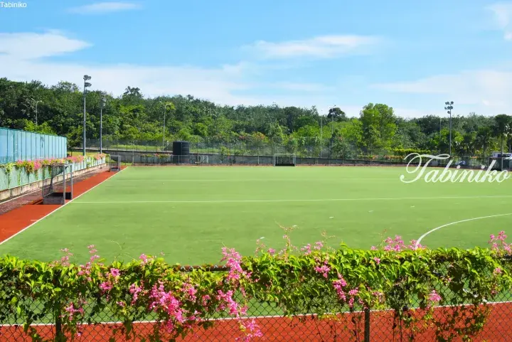 Green artificial turf football field with red running track and pink bougainvillea flowers under blue sky