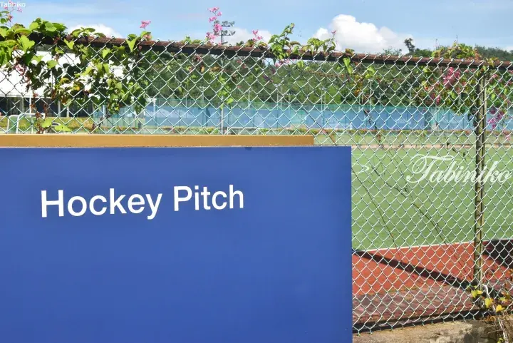 Blue Hockey Pitch sign in front of a chain-link fence with greenery, overlooking a green turf field.