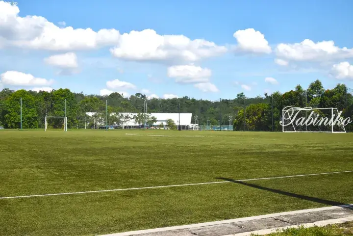 Green football field with white goalposts and netting under a blue sky with clouds, surrounded by trees and a white building.