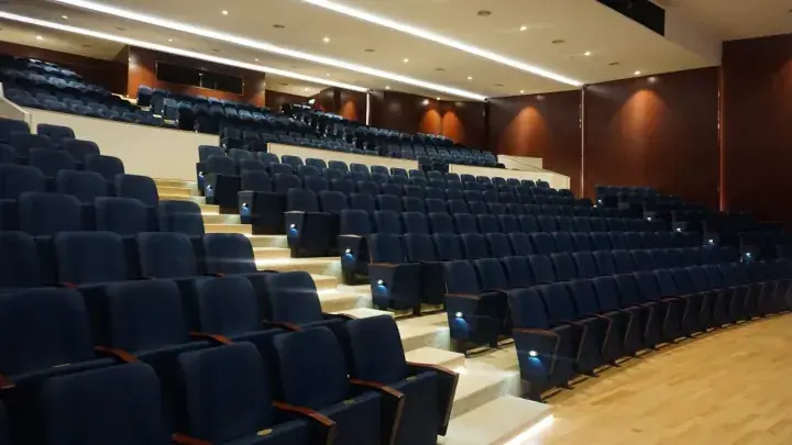 Rows of blue seats in a modern auditorium with wooden accents and recessed ceiling lighting.