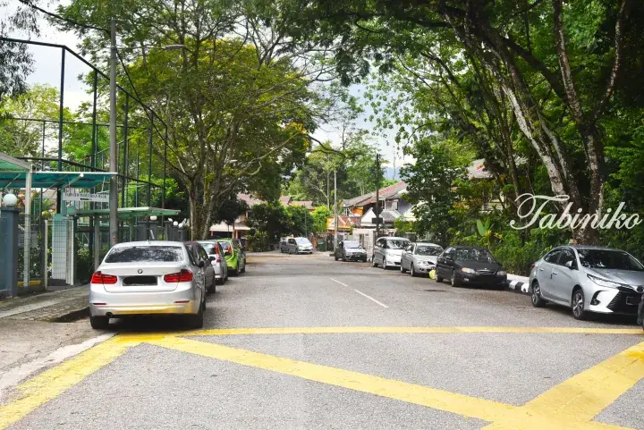 Tree-lined residential street in Malaysia with parked cars and a Fairview Pedestrian Walk sign.