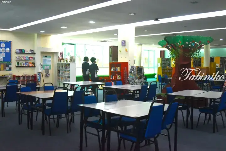 Bright school library with blue chairs, tables, bookshelves, and a decorative tree.