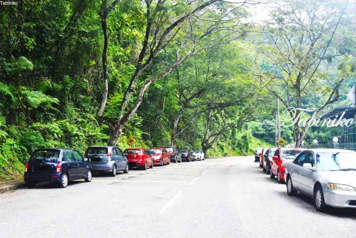 Cars parked along a lush green roadside in Malaysia, surrounded by dense tropical foliage and trees.