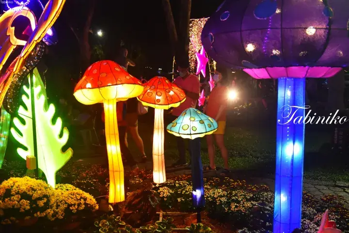 Colorful illuminated mushroom lanterns at night, featuring red, blue, and purple designs glowing among flowers at a festive event.