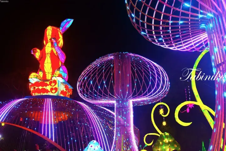 Vibrant illuminated lantern sculptures of a rabbit and mushrooms at a night festival.