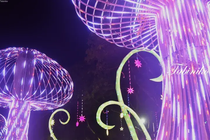 Giant illuminated mushroom and vine sculptures at a night light festival in Malaysia.
