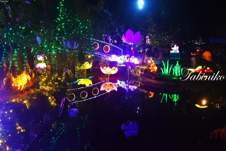Colorful lotus and fish lanterns illuminate a pond at night during a festive light display.