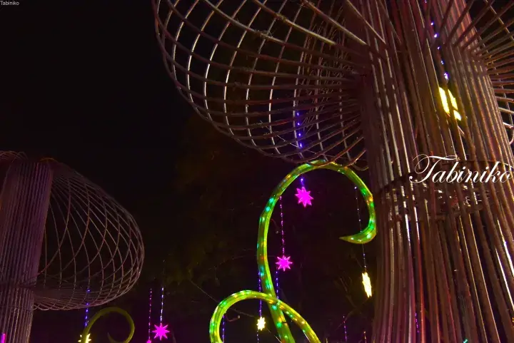 Illuminated metal sculptures and colorful star lights at night in a Malaysian park or event space.
