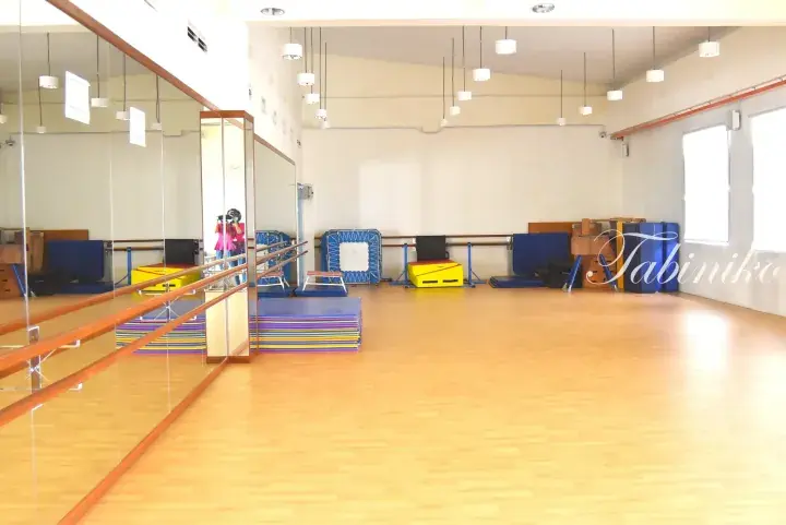 Bright dance studio with wooden floors, wall mirrors, ballet barres, and colorful gymnastics mats.