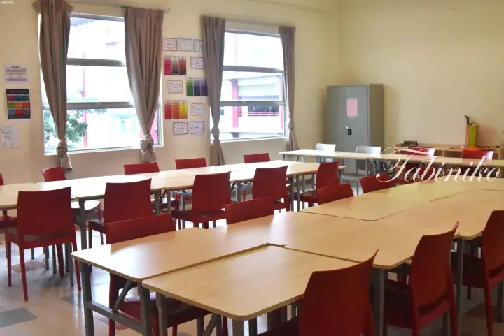 Bright classroom with wooden tables and red chairs, educational posters on the wall, and large windows with curtains.