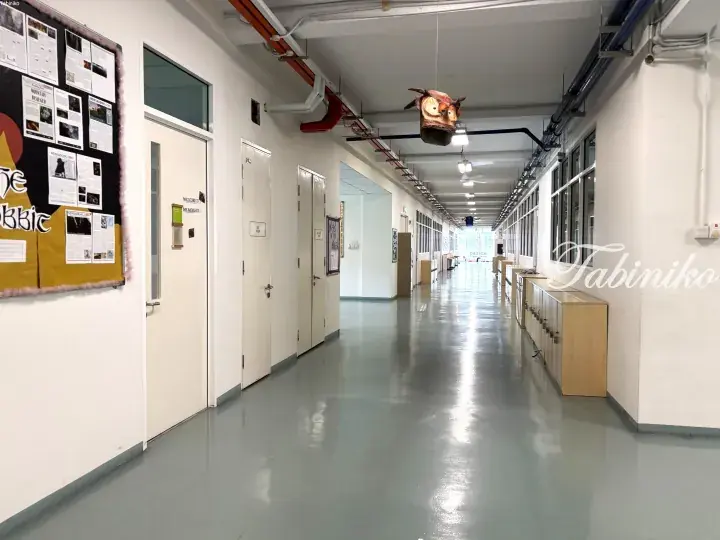 Bright school corridor with bulletin board, classroom doors, and hanging owl decoration