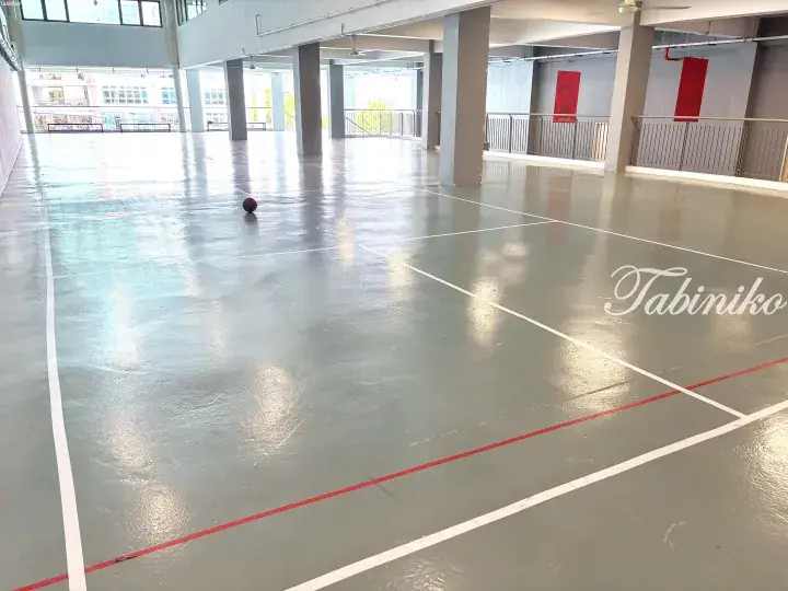 Spacious indoor sports court with polished grey flooring, white and red court lines, and a lone basketball in a modern building.