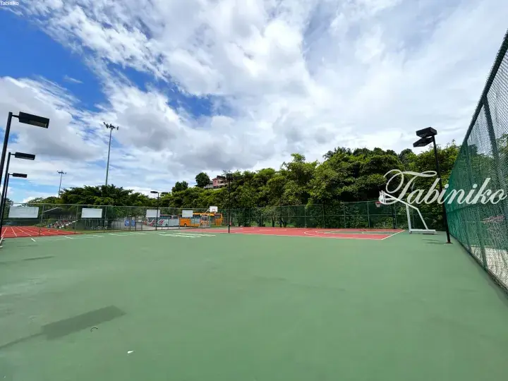 Outdoor basketball court with green and red surfaces, floodlights, and a view of trees and a yellow bus in the background.