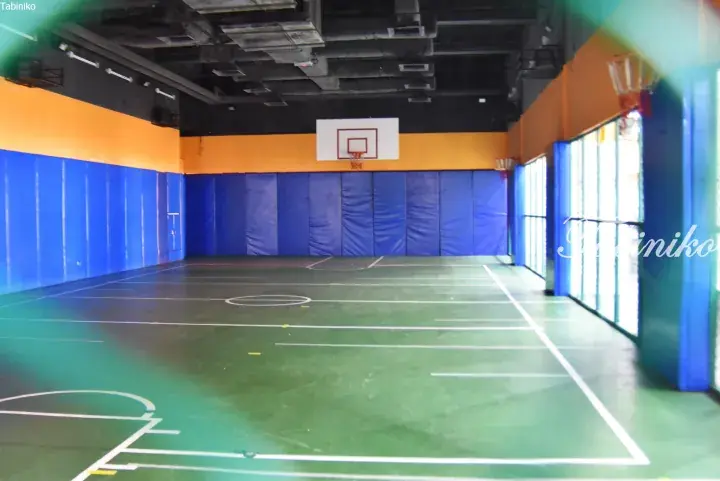 Indoor basketball court with green flooring, blue padded walls, and orange accents.