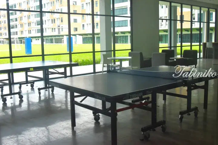 Two TIBHAR table tennis tables in a bright indoor recreation area with large windows overlooking a green campus lawn.