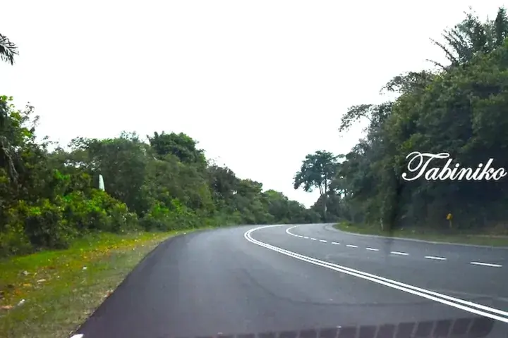 A winding asphalt road curves through lush green tropical forest under an overcast sky.