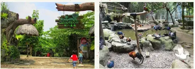 Children walking through the entrance of Farm in the City with a thatched roof sign, and a view of chickens and ducks in an outdoor enclosure.