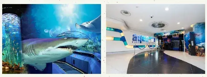 Interior view of an aquarium featuring a large shark mural and a modern entrance lobby with blue lighting accents.